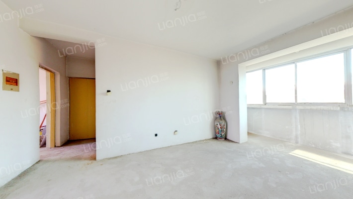 东兴小区  满五唯一  业主诚意出售  采光视野没问题-客厅