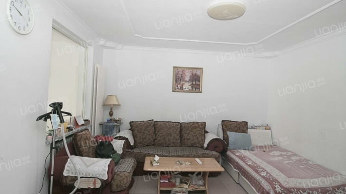 蔬菜公司新家属楼二手房实景图