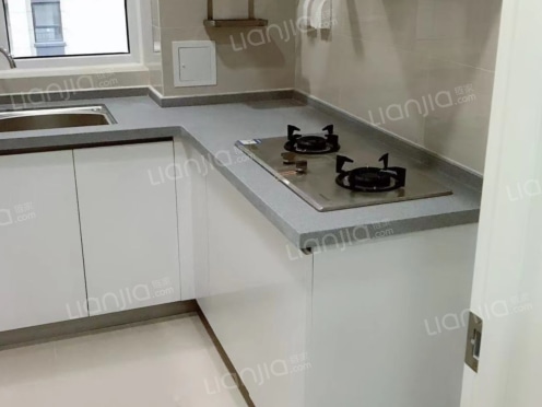 整租·中央公园 1室1厅 北