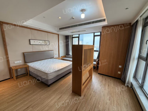 整租·颐高广场 1室1厅 东北