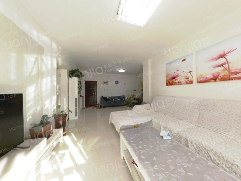 整租·印象泰山 3室2厅 南/北