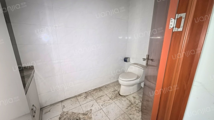 高铁板块，联排别墅，下沉花园，私家车库-卫生间B