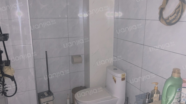 小区发展成熟，空气清新，适合居住，生活方便-卫生间