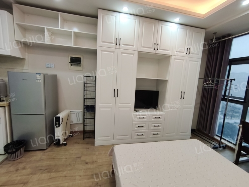 整租·高力国际公寓 1室1厅 北