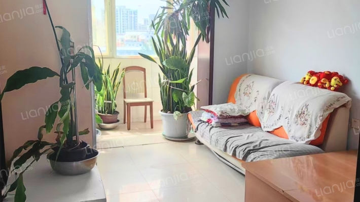 铁道东路238号二手房实景图