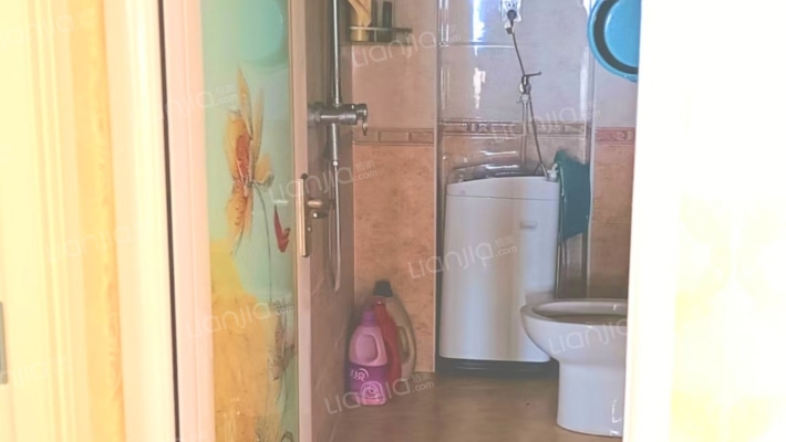 水岸花城，一线江景美宅诗意，标准现房，即买即住-卫生间