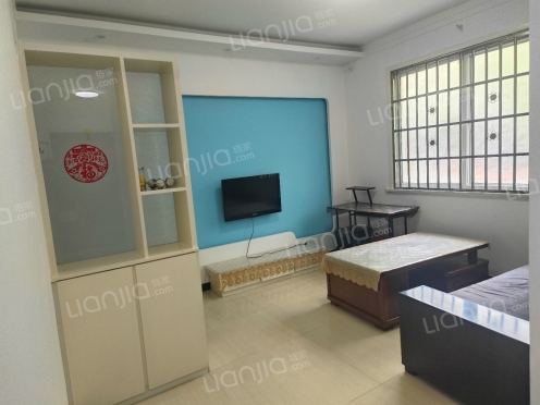 整租·民生天都星城北区 1室1厅 南