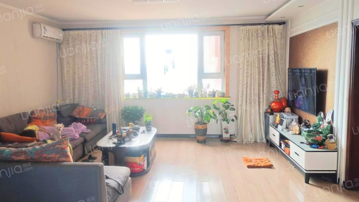 龙园大厦二手房实景图