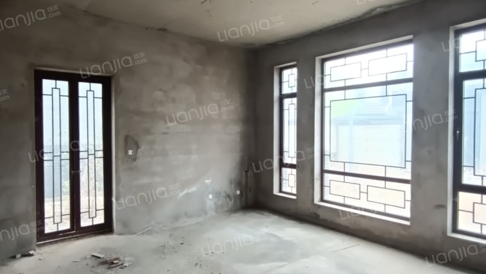 独栋大别墅，大院子，大产权。绿植覆盖率很好-客厅A