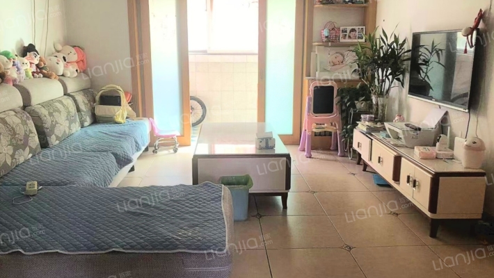 采光充足 交通便利 房主诚意出售-客厅