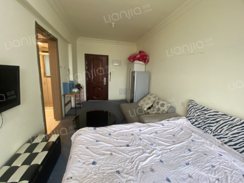 整租·碧桂园花溪首府 1室0厅 南