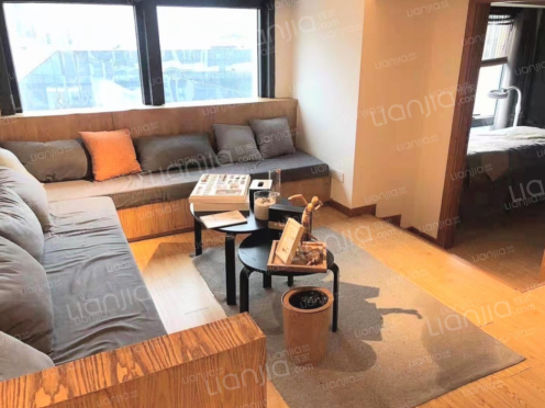 整租·龙湖时代天街 1室0厅 南