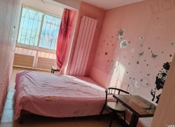 整租·平安西区 1室1厅 南_平安西区租房