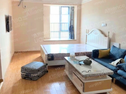 整租·悦中心 1室1厅 东南