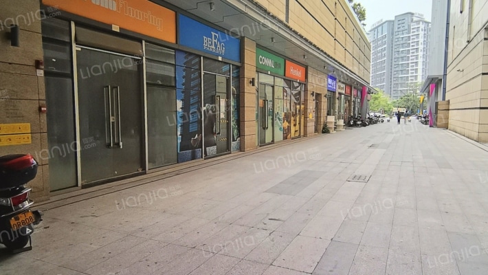 保利成熟商圈 临街铺面 商场 酒店-入户花园