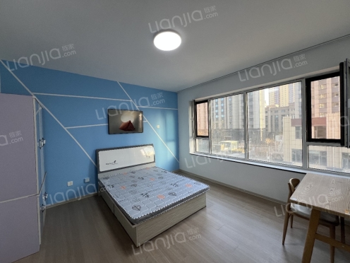 整租·君临天下 1室1厅 南