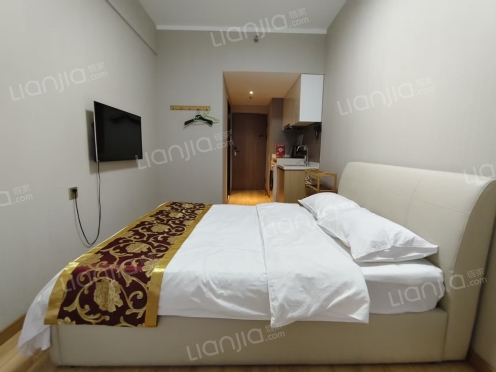 整租·万科城际之光 1室1厅 西