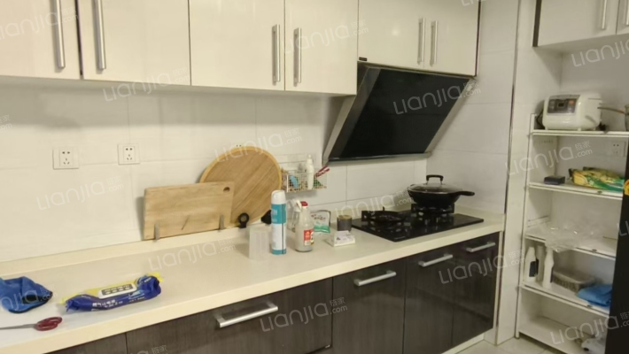 水岸花城 2室2厅 南-厨房