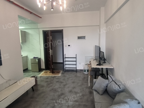 整租·泰达春天里 1室1厅 南