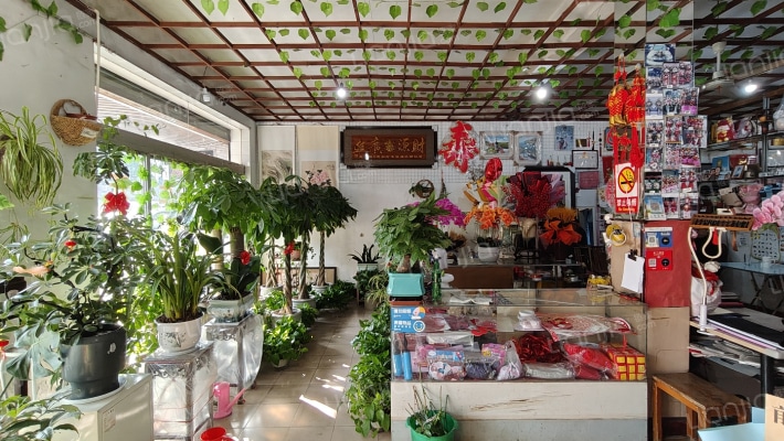 环镇西路二手房实景图