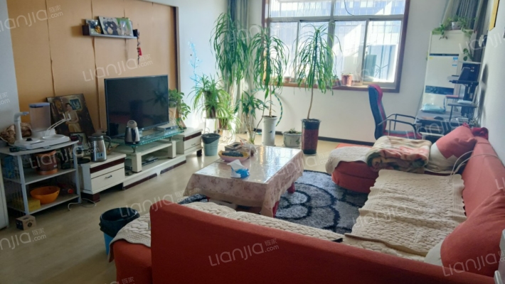 金汇花园一期二手房实景图