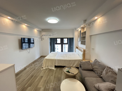 整租·中梁百悦汇 1室0厅 南