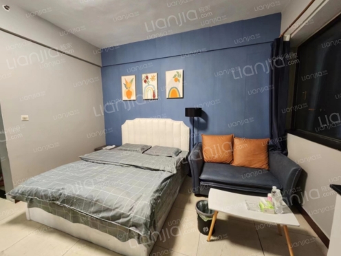 整租·财富广场 1室1厅 北