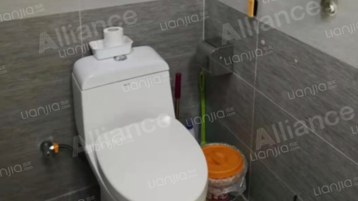 楼前劳动公园 视野采光好 房本已经满两年税费低-卫生间