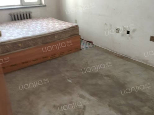 整租·哈东新区 1室1厅 南