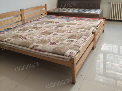 整租·和美商贸城 1室1厅 北