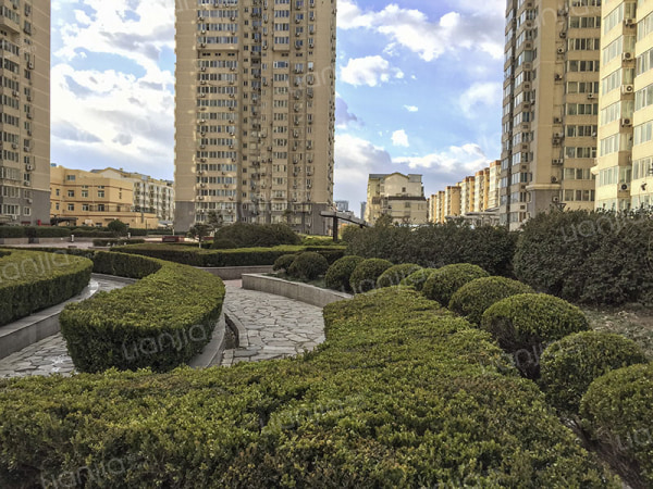 通惠家园 2室1厅 350万