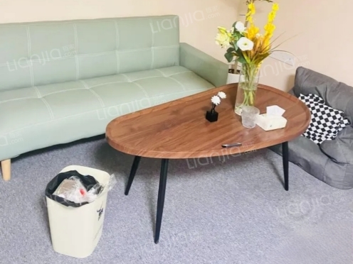 整租·龙湖时代天街 2室0厅 东南