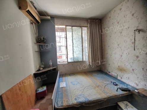 整租·和苑小区 1室1厅 东南