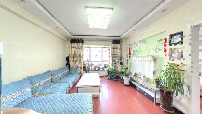 桃园新居西区二手房实景图