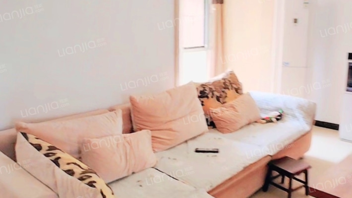 德信公园南侧 电梯房 两梯两户 南北通透三居-客厅