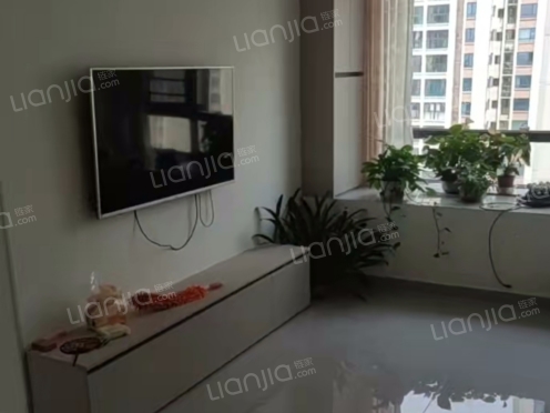 整租·金康花园B区 2室1厅 南/北