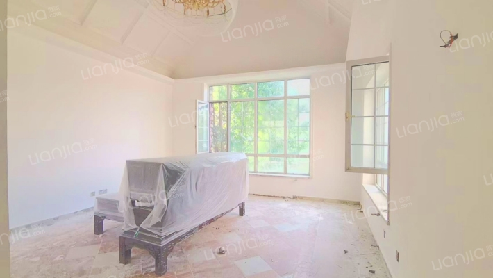 东京都高尔夫 大独栋别墅 大院子 好户型-客厅