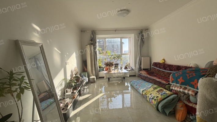 青花府南北通透两居室 中上楼层 采光好-客厅