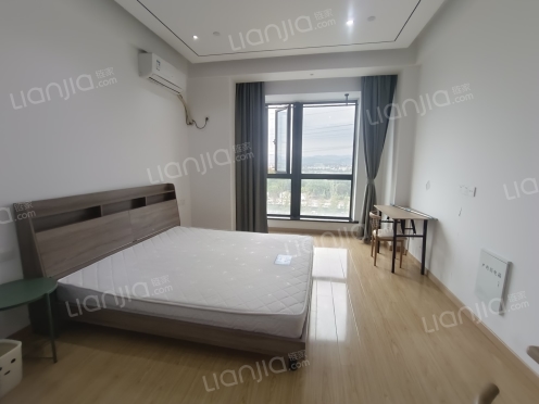 整租·万固·东方樾 1室0厅 南