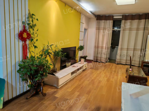 整租·鼎鑫盛世嘉苑 3室2厅 南