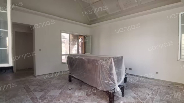 东京都高尔夫 大独栋别墅 大院子 好户型-客厅