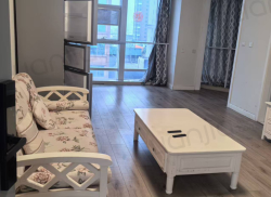 整租·铜锣湾 2室1厅 南/北_铜锣湾租房