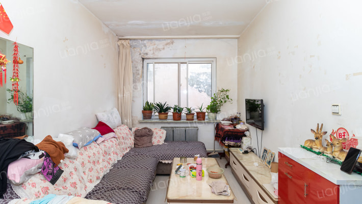 红房一街二手房实景图