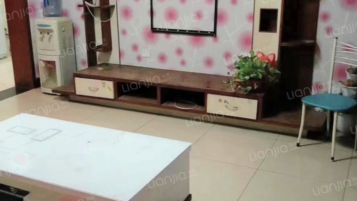 紫晨小区 房本满五  看房方便-客厅