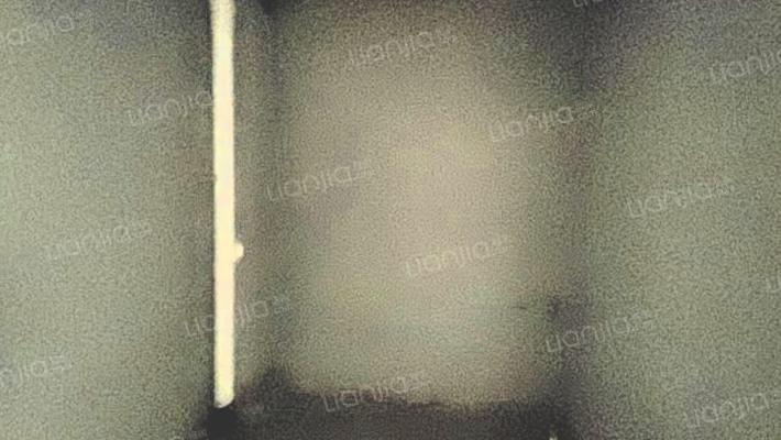 大社区，电梯洋房，一梯两户，惬意的生活。-卫生间A