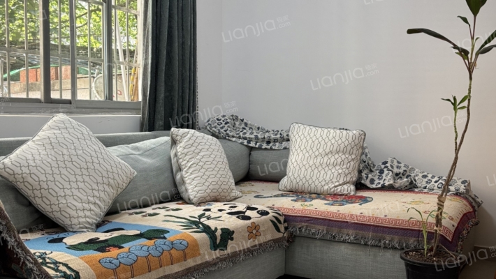 青春路33号二手房实景图