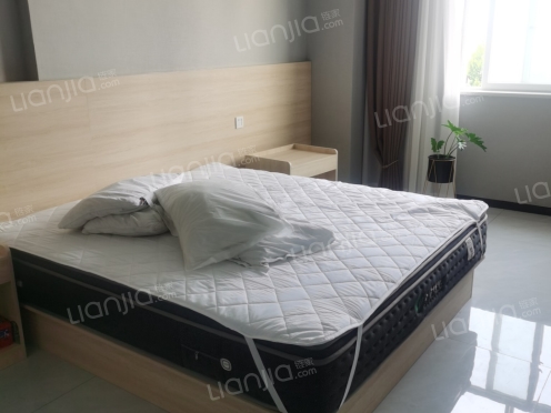 整租·广杰龙湖金座 1室0厅 南