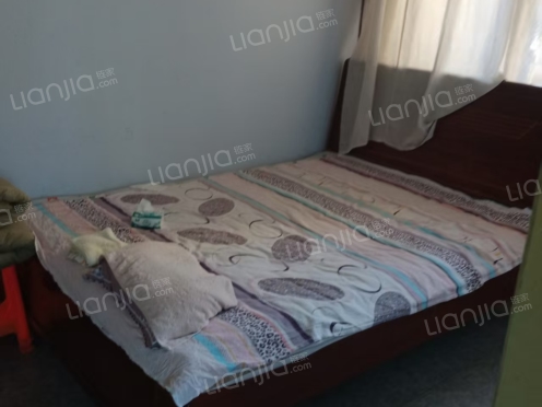 整租·石化宿舍北院 3室1厅 南/北