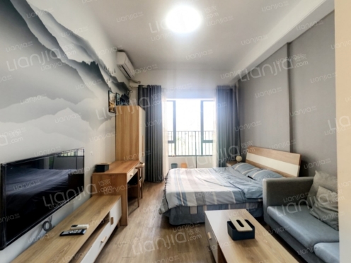 整租·越秀滨江盛悦 1室0厅 南