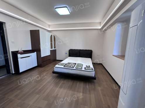 整租·冠正大厦 1室1厅 北